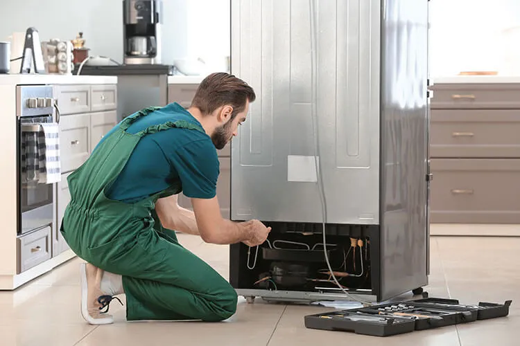 Samsung Refrigerator Repair